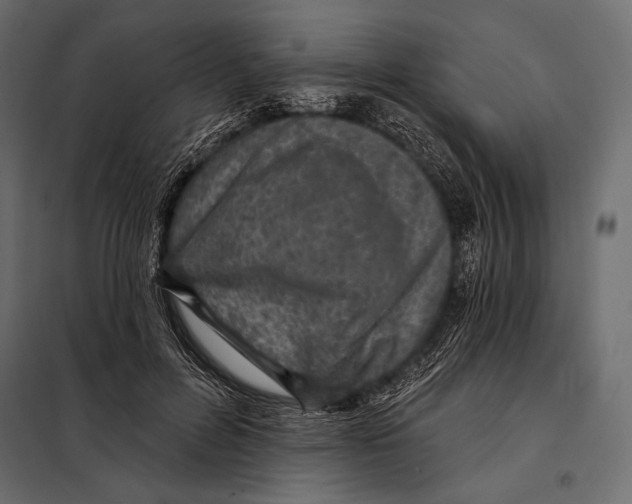 X0000098070600200804251440