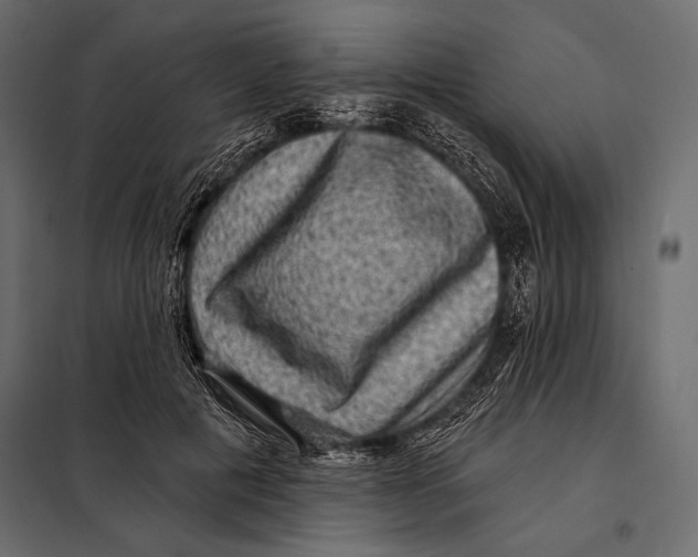 X0000098070601200804251440