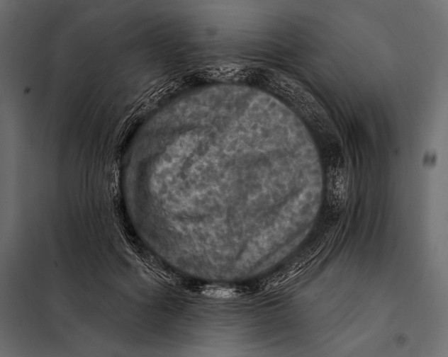 X0000098070602200804251440