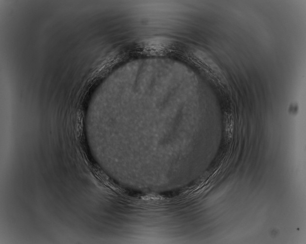 X0000098070603200804251440