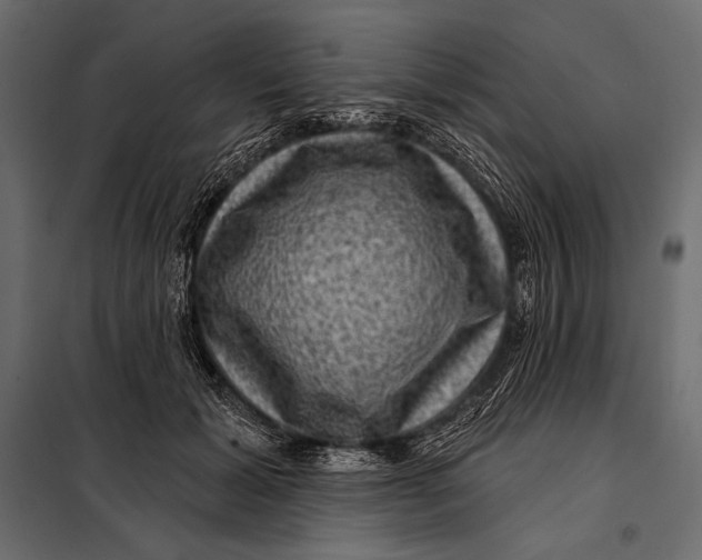 X0000098070605200804251440