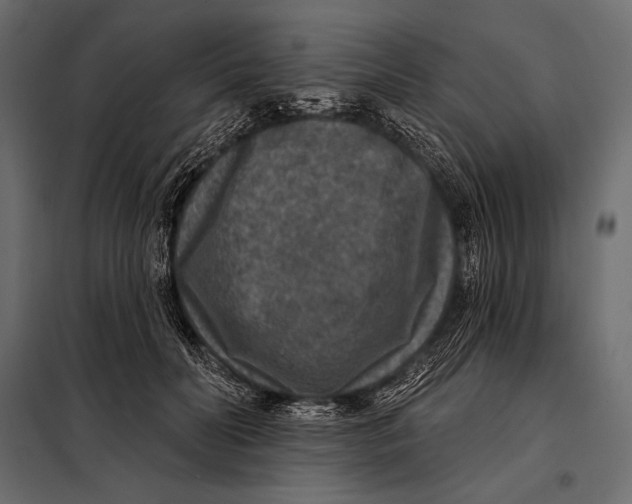 X0000098070606200804251440