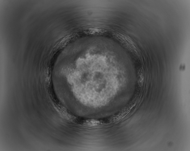 X0000098070607200804251440