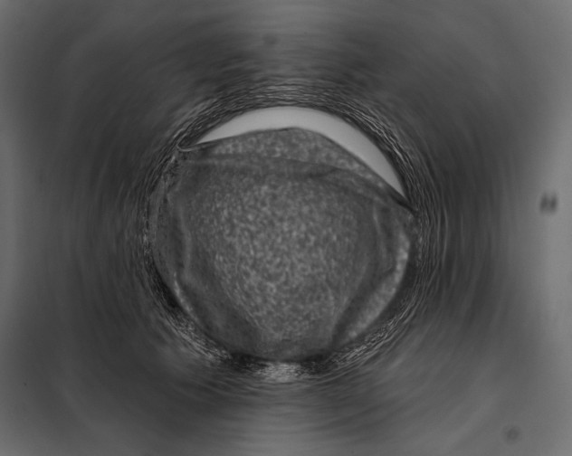 X0000098070609200804251440