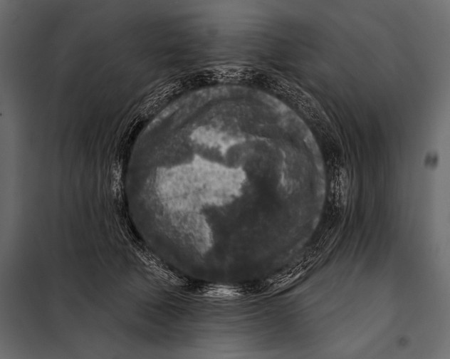 X0000098070610200804251440