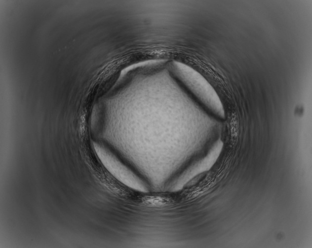 X0000098070611200804251440