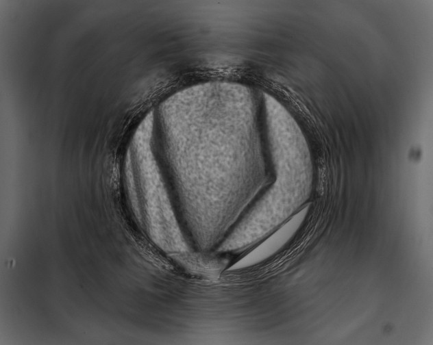 X0000098070613200804251440