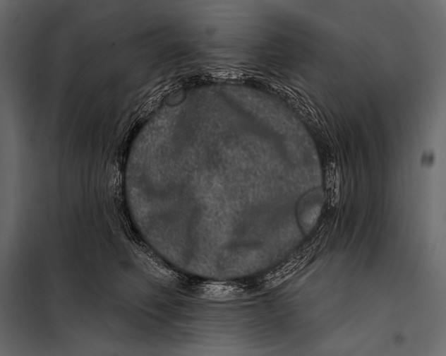 X0000098070614200804251440