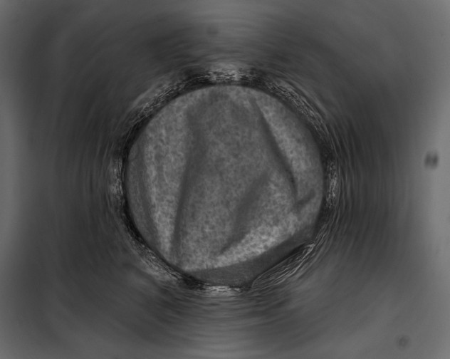 X0000098070616200804251440