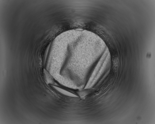 X0000098070617200804251440