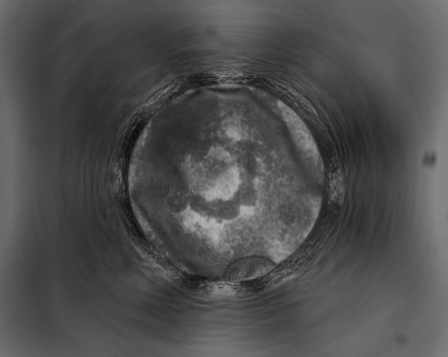 X0000098070618200804251440