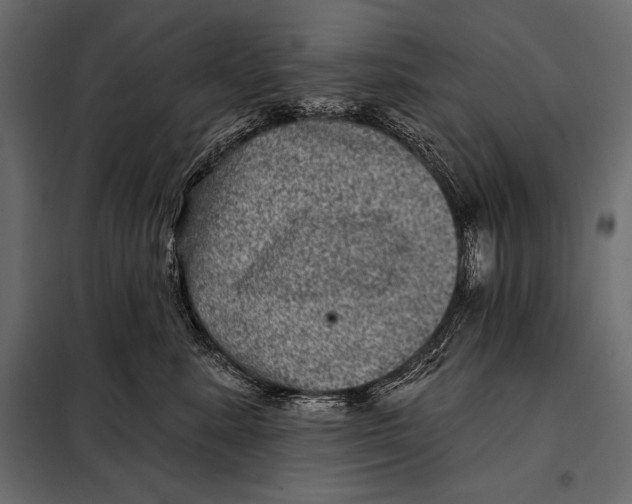 X0000098070619200804251440