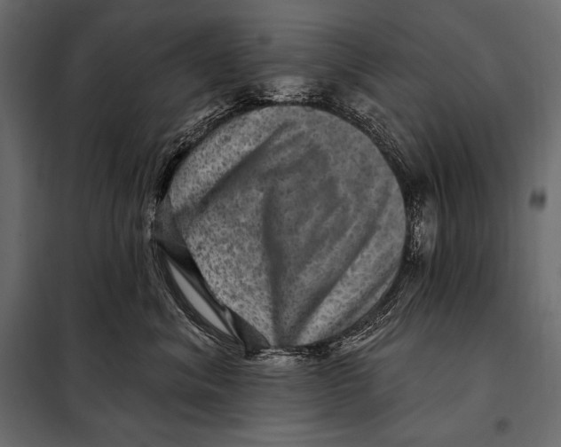 X0000098070620200804251440