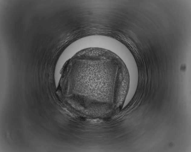 X0000098070621200804251440