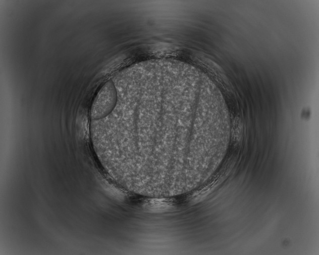 X0000098070622200804251440