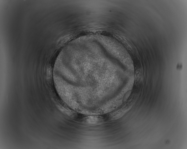 X0000098070623200804251440