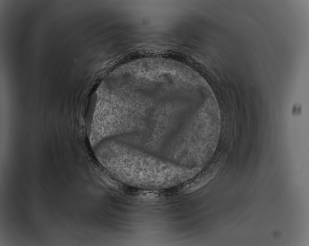 X0000098070624200804251440