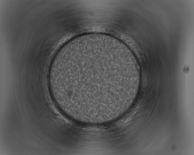 X0000098070625200804251439