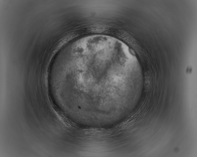 X0000098070626200804251439