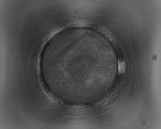 X0000098070627200804251439