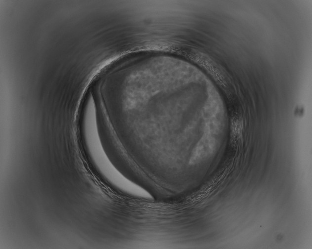 X0000098070628200804251439