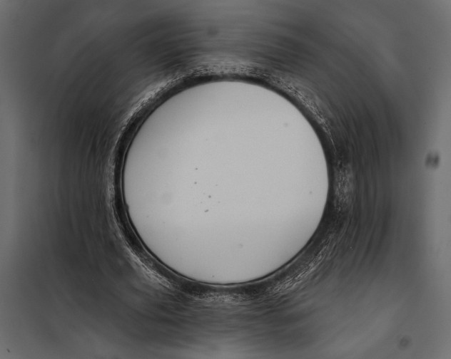 X0000098070629200804251439