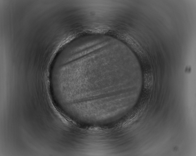 X0000098070634200804251439