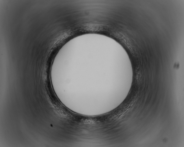 X0000098070635200804251439