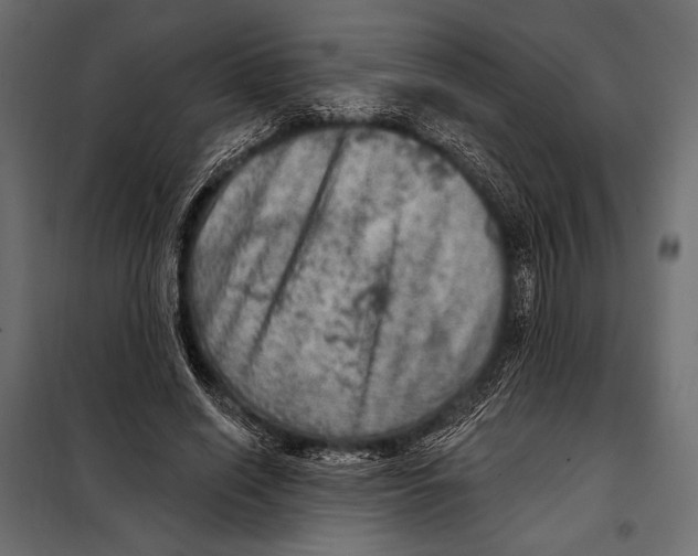 X0000098070638200804251439