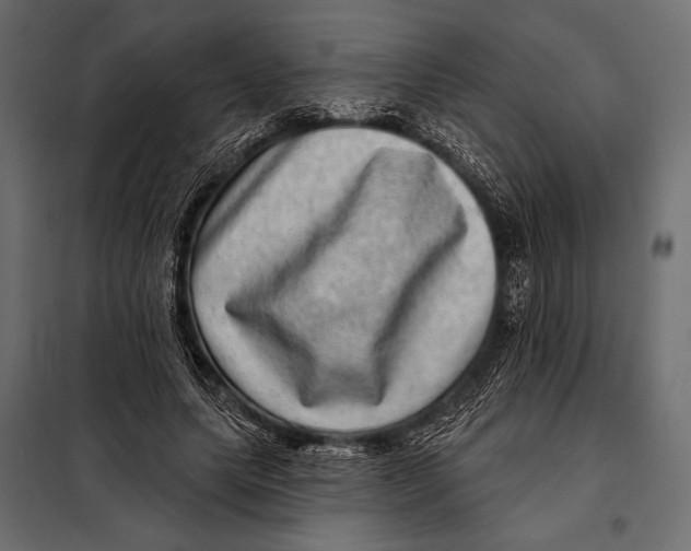 X0000098070639200804251439