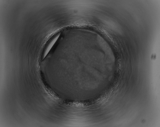 X0000098070640200804251439