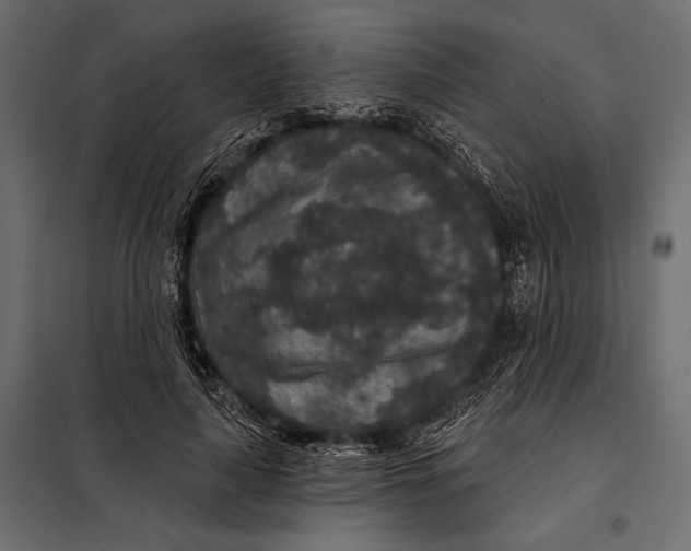 X0000098070643200804251439