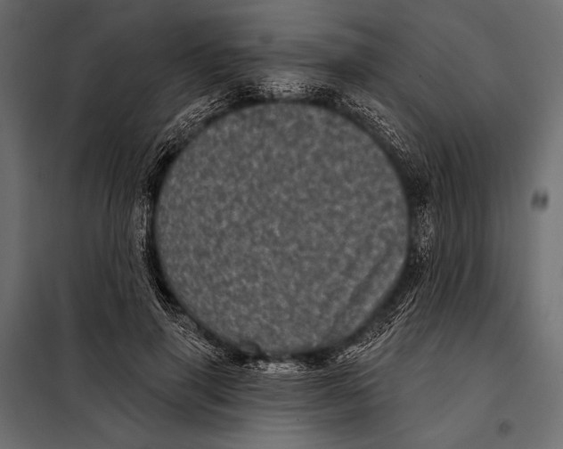 X0000098070645200804251439