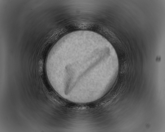 X0000098070646200804251439