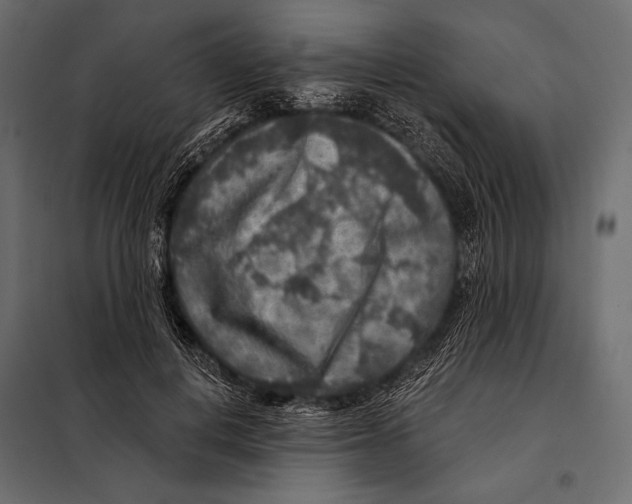 X0000098070648200804251439