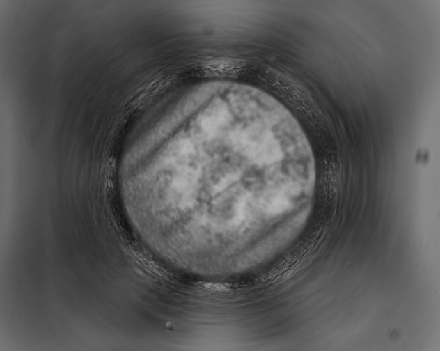 X0000098070649200804251439