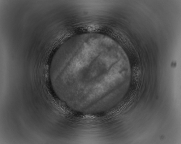 X0000098070650200804251439