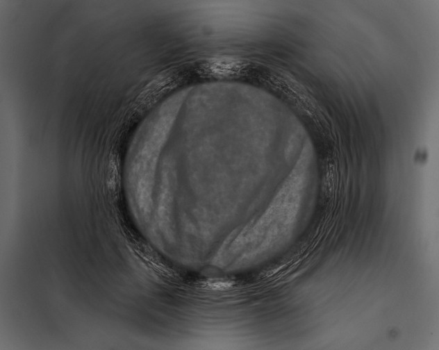 X0000098070651200804251439