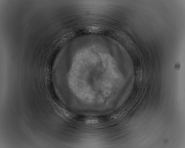 X0000098070653200804251439