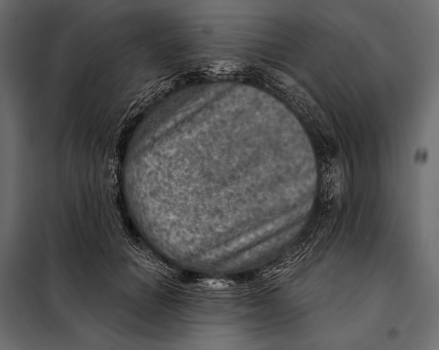 X0000098070654200804251439