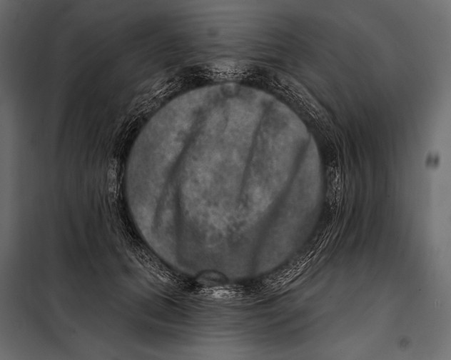 X0000098070655200804251439