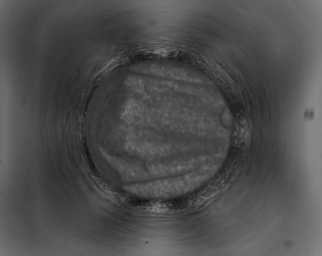 X0000098070656200804251439