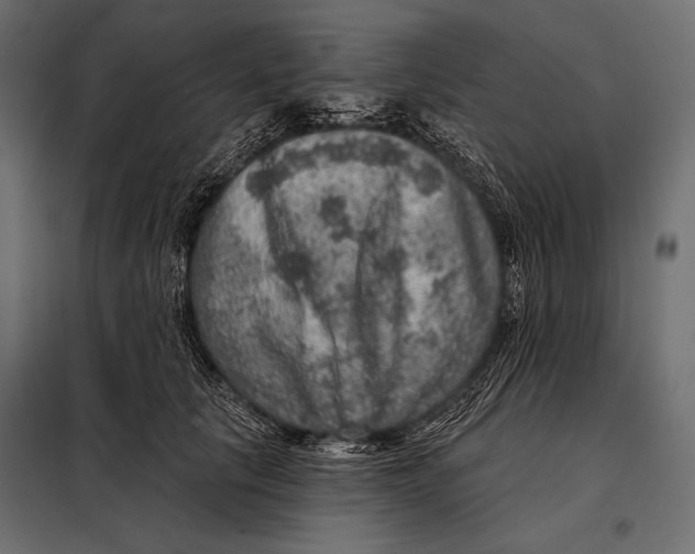 X0000098070657200804251439