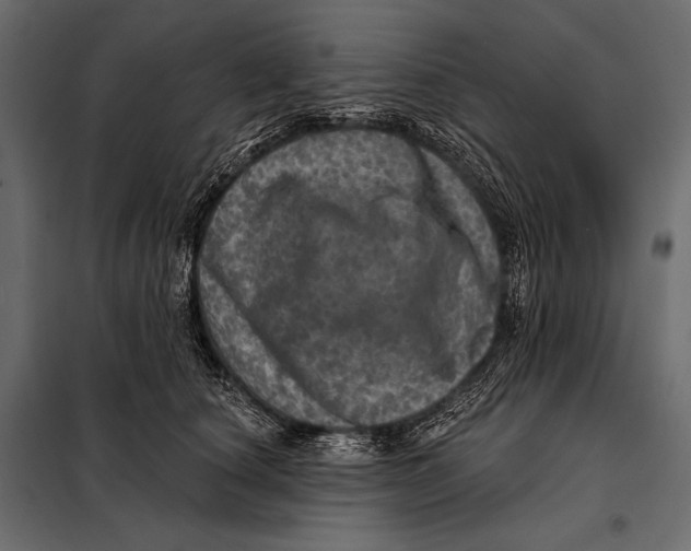 X0000098070660200804251439