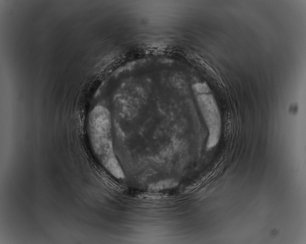 X0000098070661200804251439