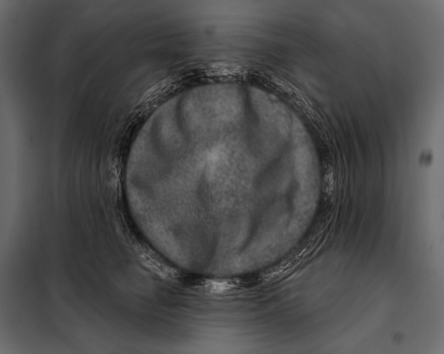 X0000098070662200804251439