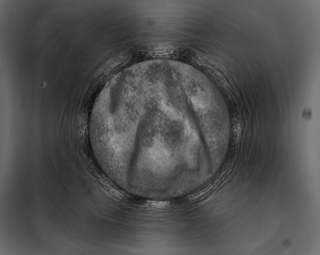 X0000098070665200804251439