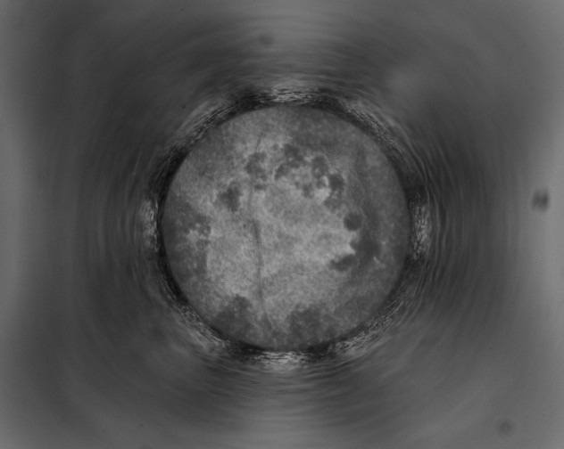 X0000098070667200804251439