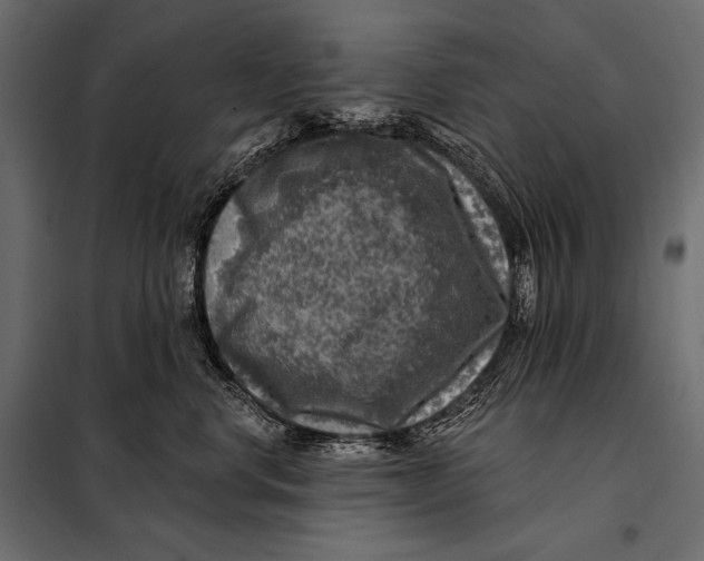 X0000098070668200804251440