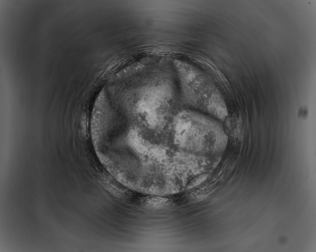 X0000098070669200804251440